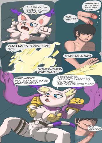 Cover of Meeting Up With Gatomon